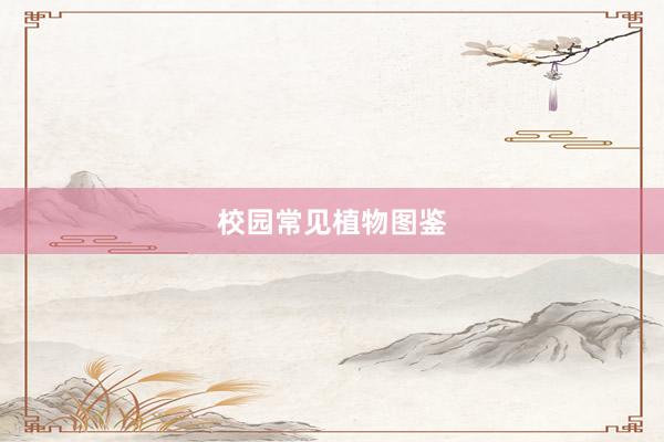 校园常见植物图鉴